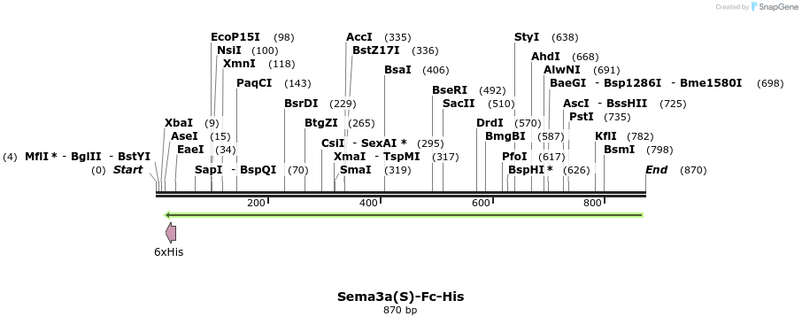 138970_map