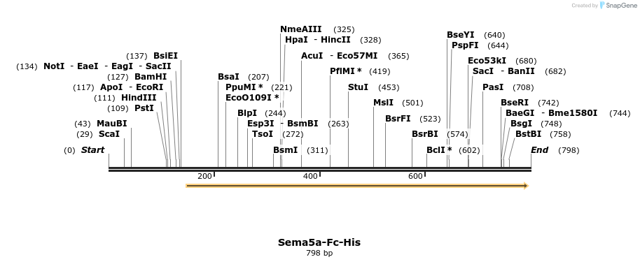 138973_map