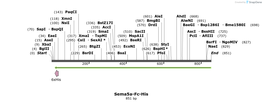 138974_map