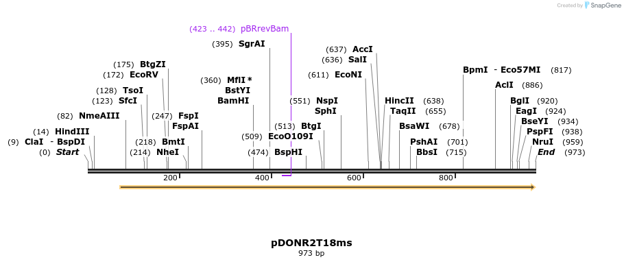 138978_map