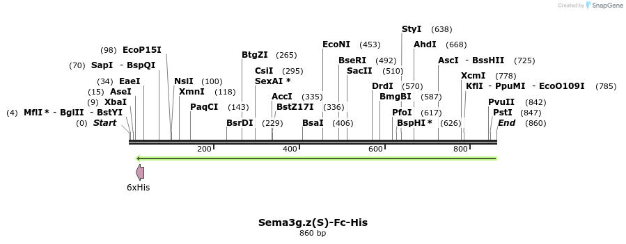 138979_map