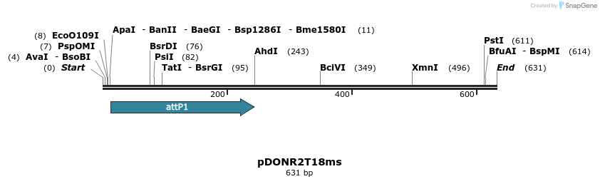 138981_map