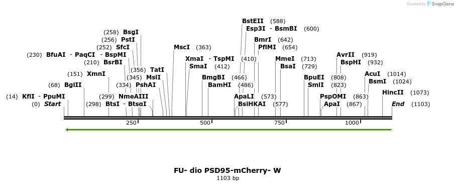 138989_map