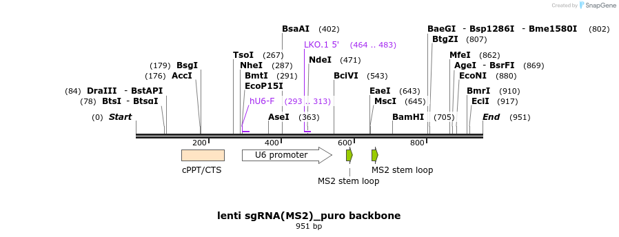 138990_map