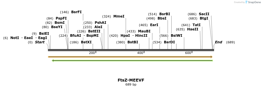 138991_map