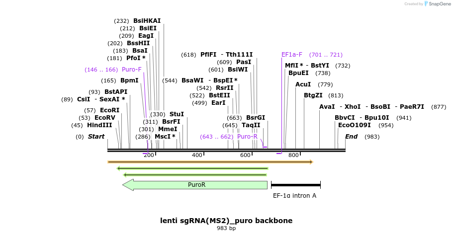 138993_map