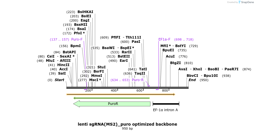 138996_map