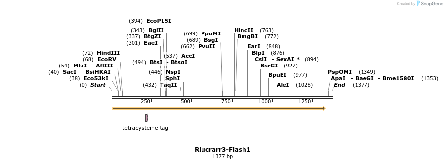 138997_map