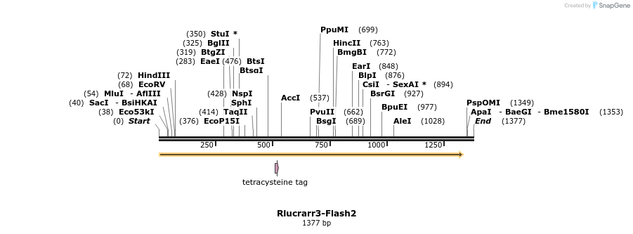 138998_map