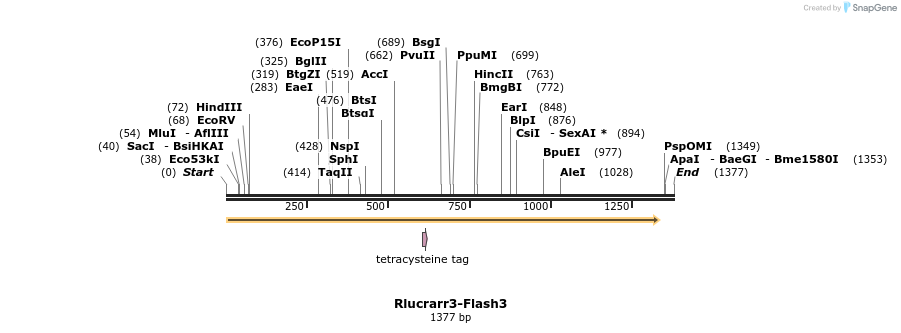 138999_map