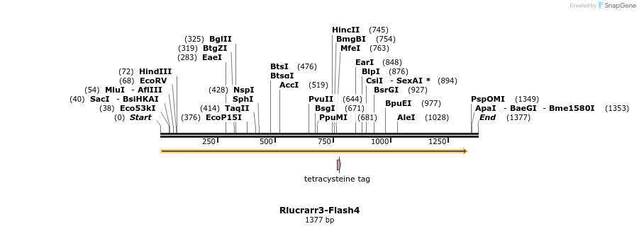 139001_map