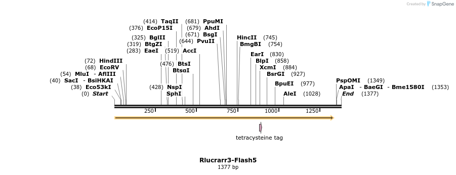 139003_map