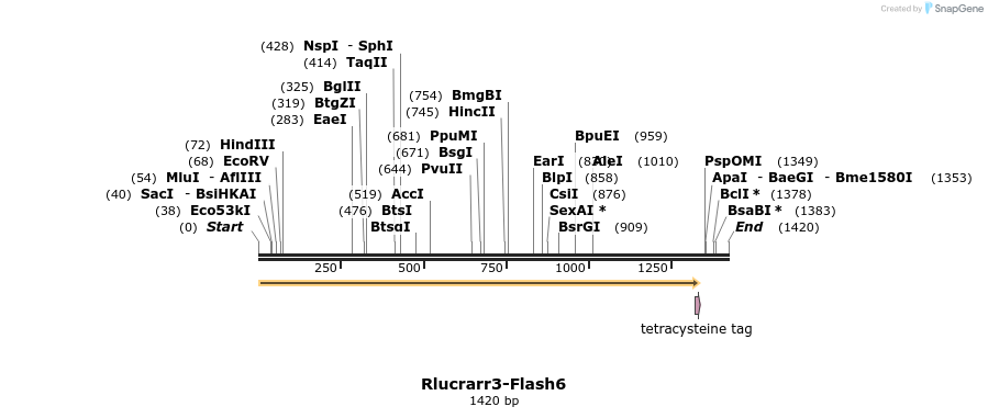 139004_map