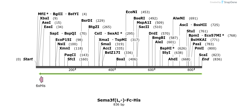 139006_map