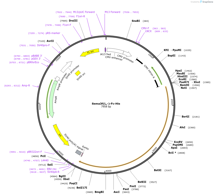 139007_map