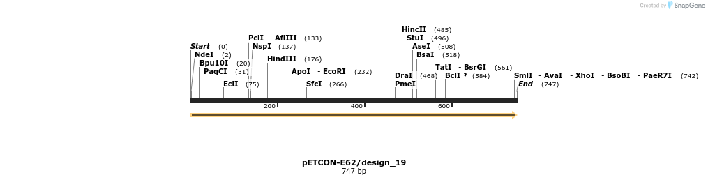 13901_map