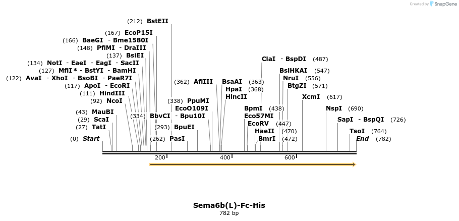 139010_map