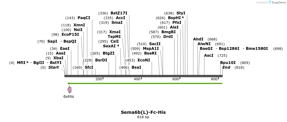 139011_map