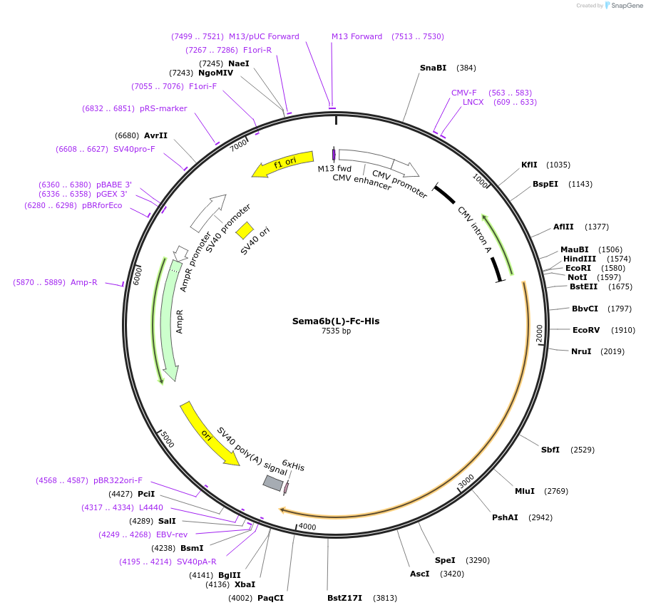 139012_map