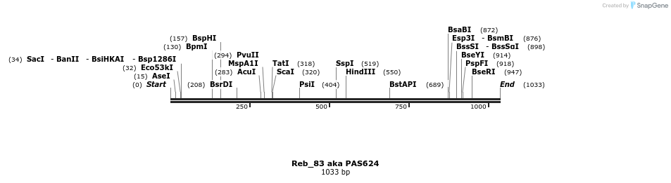 139016_map