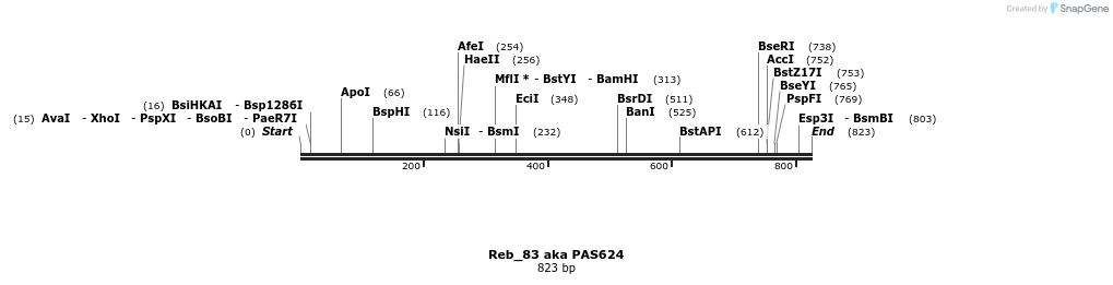 139017_map