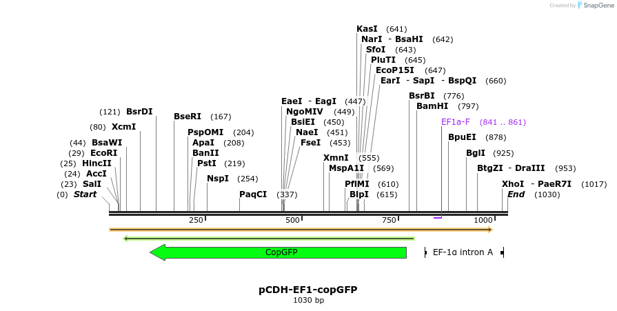 139019_map