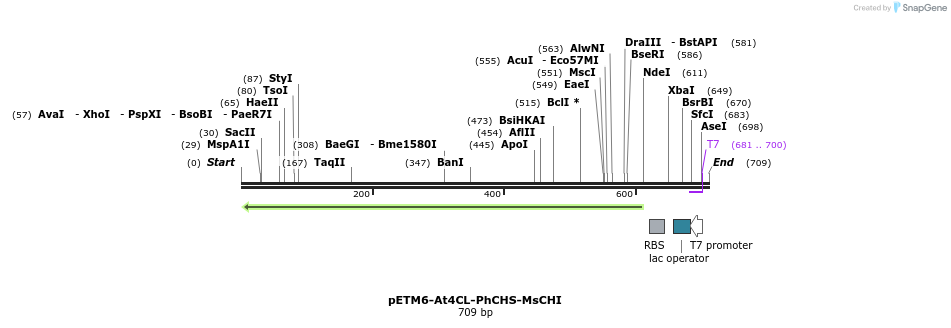 139037_map