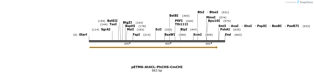 139039_map