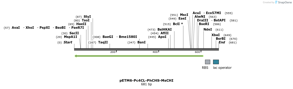 139048_map