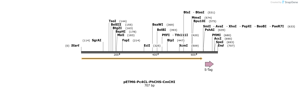 139049_map