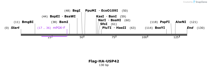 139055_map