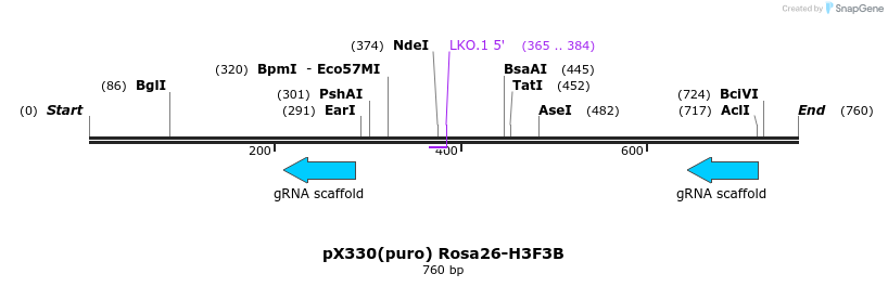 139071_map