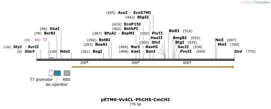 139077_map