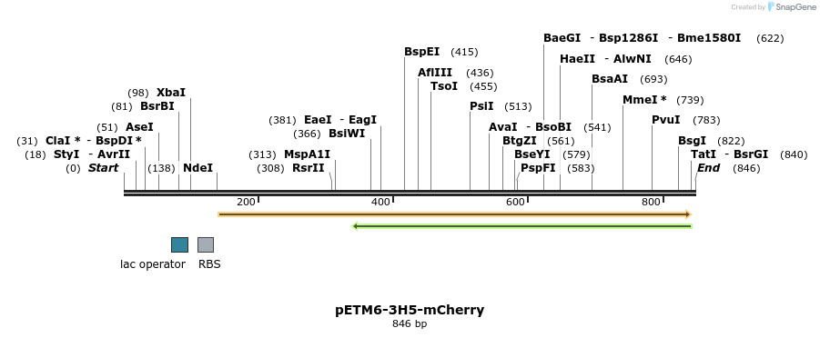 139084_map