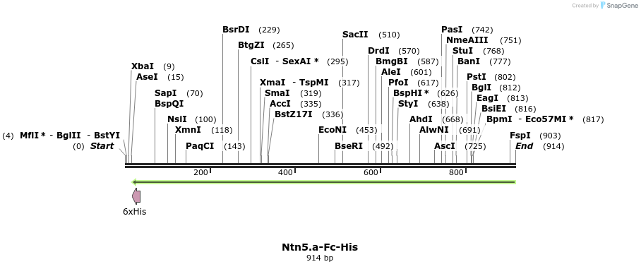 139086_map