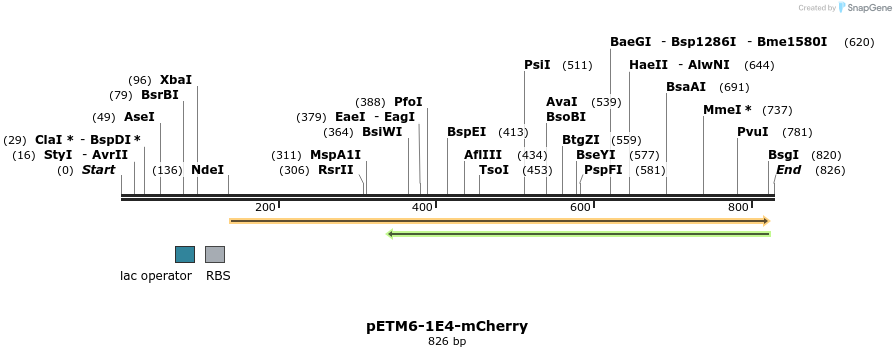 139091_map