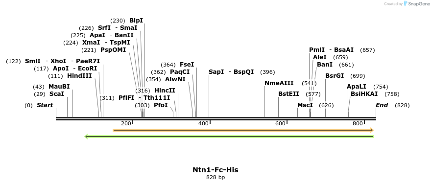 139092_map