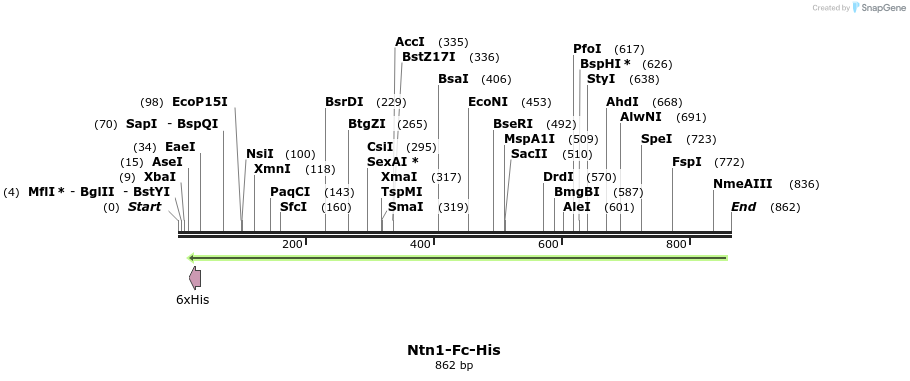 139093_map