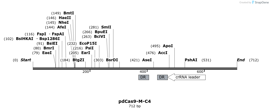 139098_map