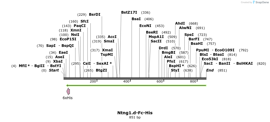 139100_map