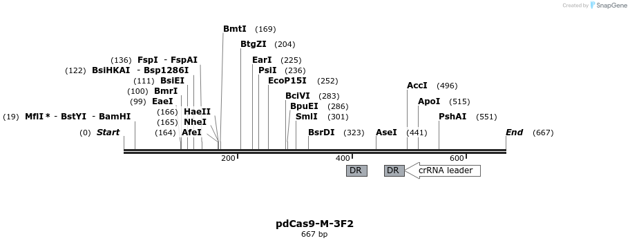 139101_map
