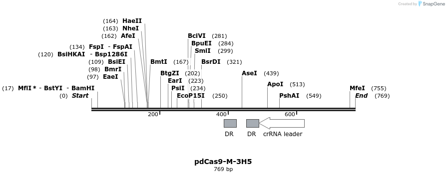139102_map