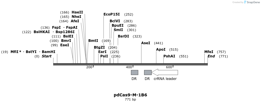 139103_map