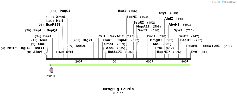 139109_map