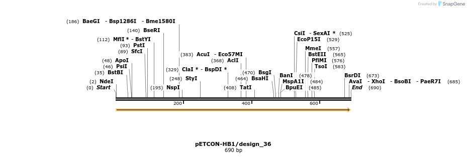 13911_map