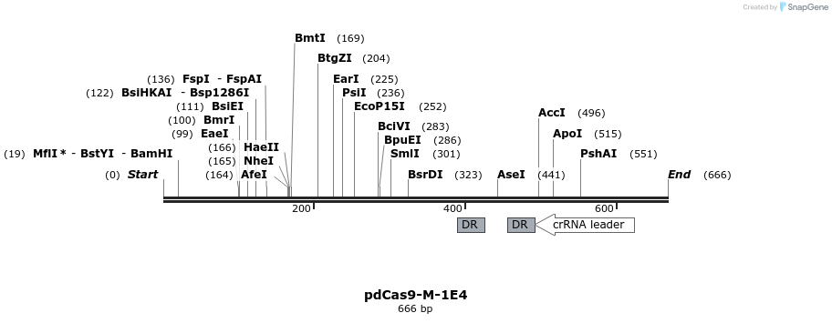 139117_map