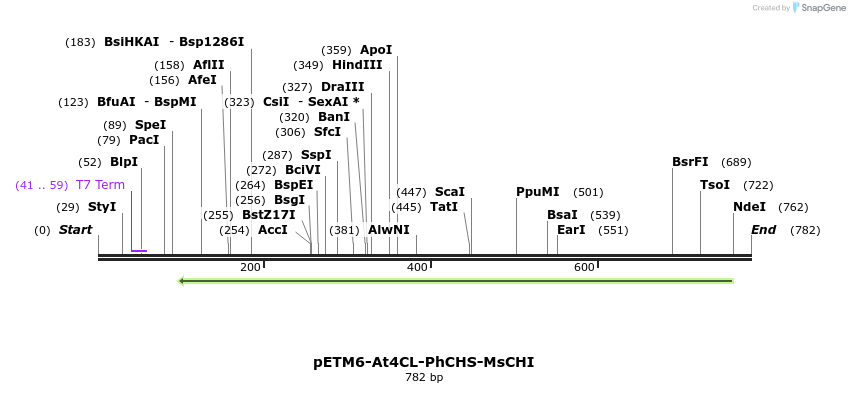 139120_map