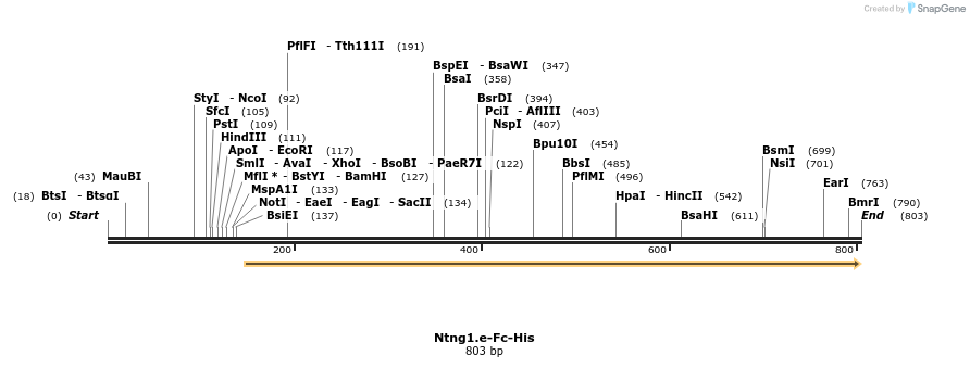 139121_map