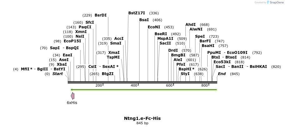 139122_map