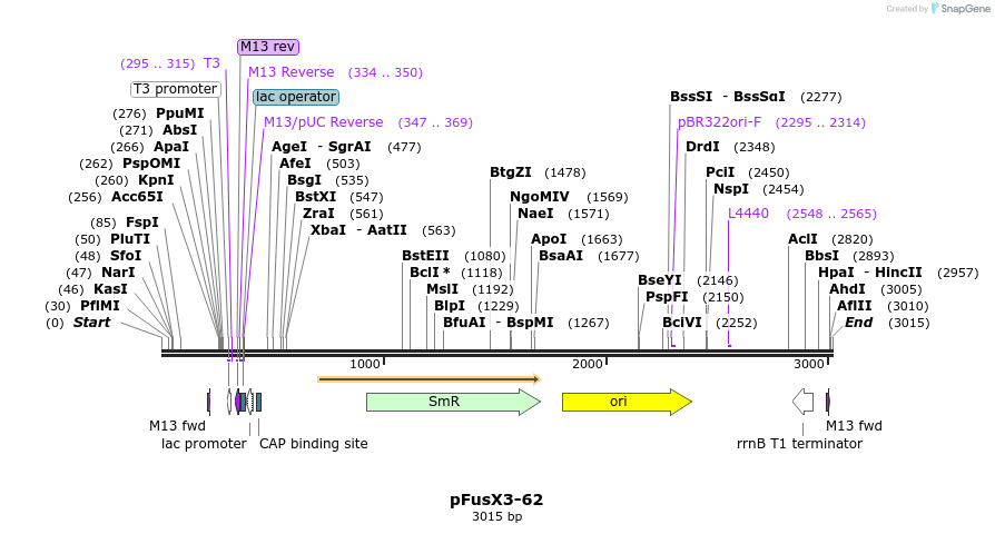 139123_map